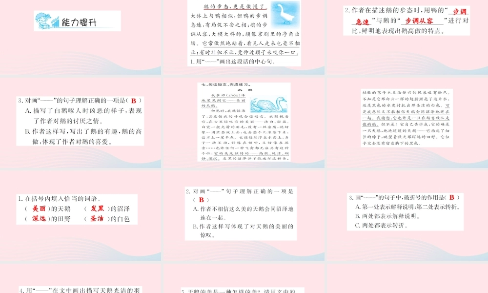 四年级语文上册 第四组 13 白鹅（第2课时）习题课件 新人教版-新人教版小学四年级上册语文课件