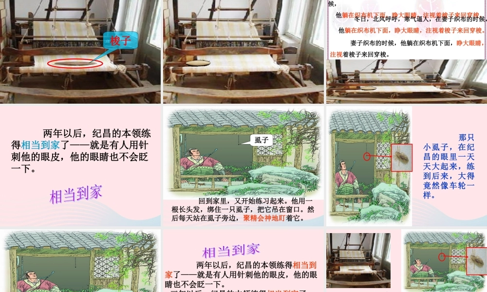 四年级语文下册 第八单元 29 寓言二则《纪昌学射》课件2 新人教版-新人教版小学四年级下册语文课件