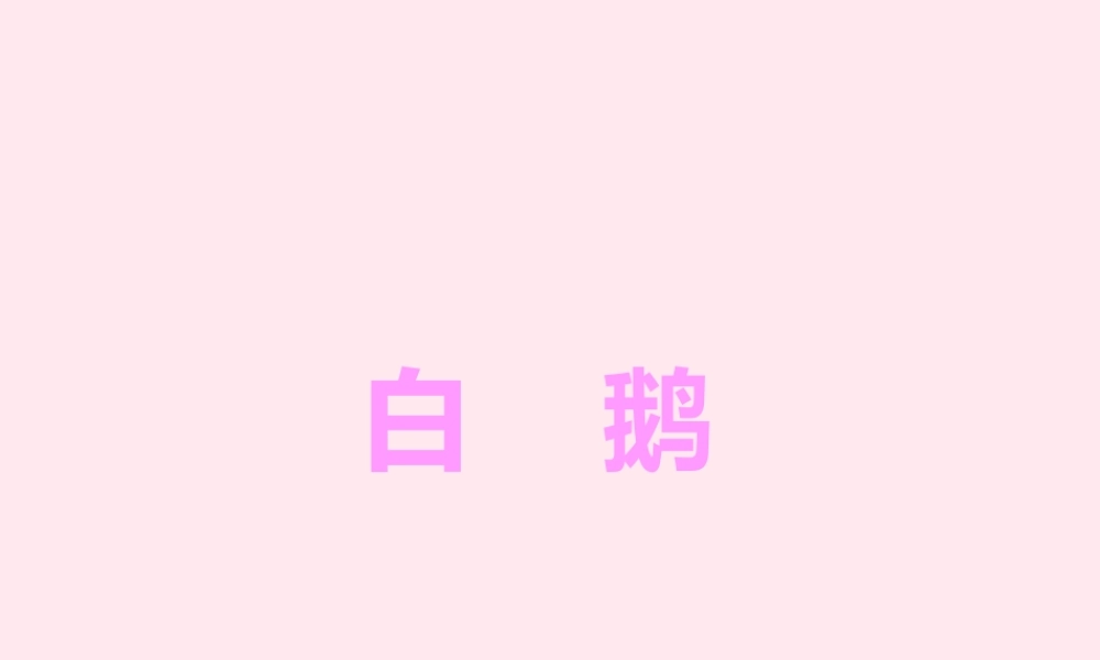四年级语文上册 第四组 13 白鹅课件 新人教版-新人教版小学四年级上册语文课件