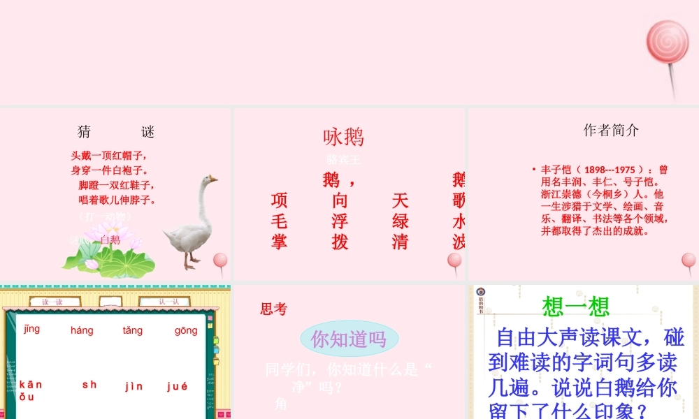 四年级语文上册 第四组 13 白鹅课件 新人教版-新人教版小学四年级上册语文课件