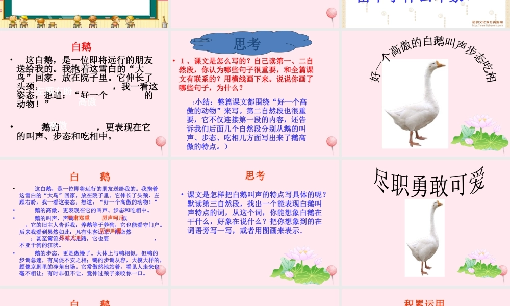 四年级语文上册 第四组 13 白鹅课件 新人教版-新人教版小学四年级上册语文课件