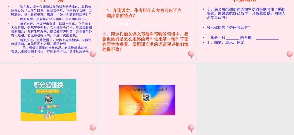 四年级语文上册 第四组 13 白鹅课件 新人教版-新人教版小学四年级上册语文课件