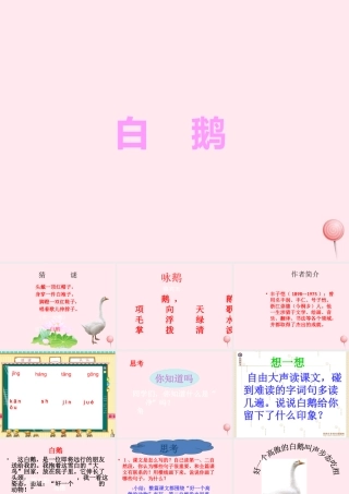 四年级语文上册 第四组 13 白鹅课件 新人教版-新人教版小学四年级上册语文课件