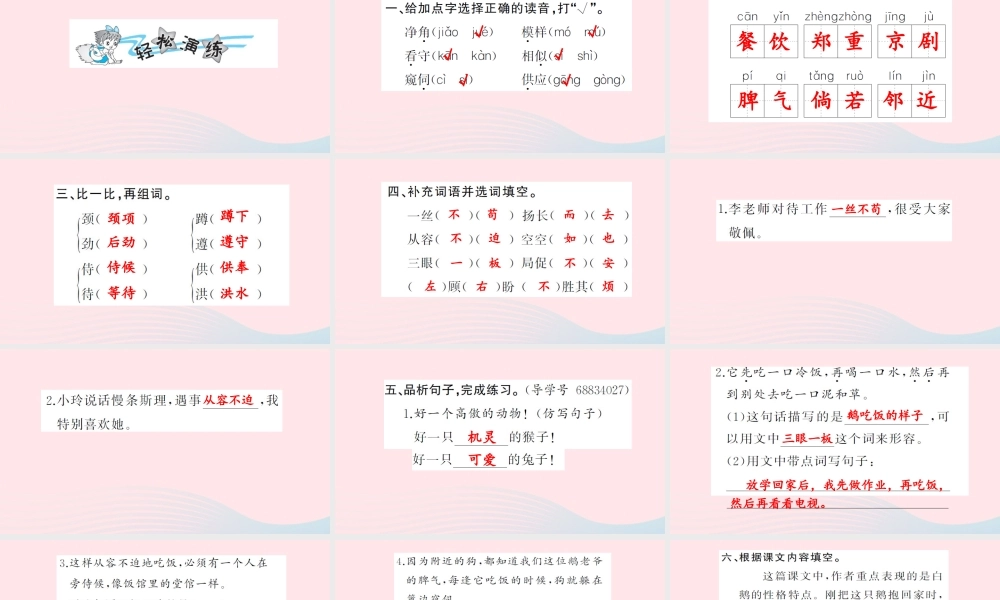 四年级语文上册 第四组 13 白鹅习题课件 新人教版-新人教版小学四年级上册语文课件