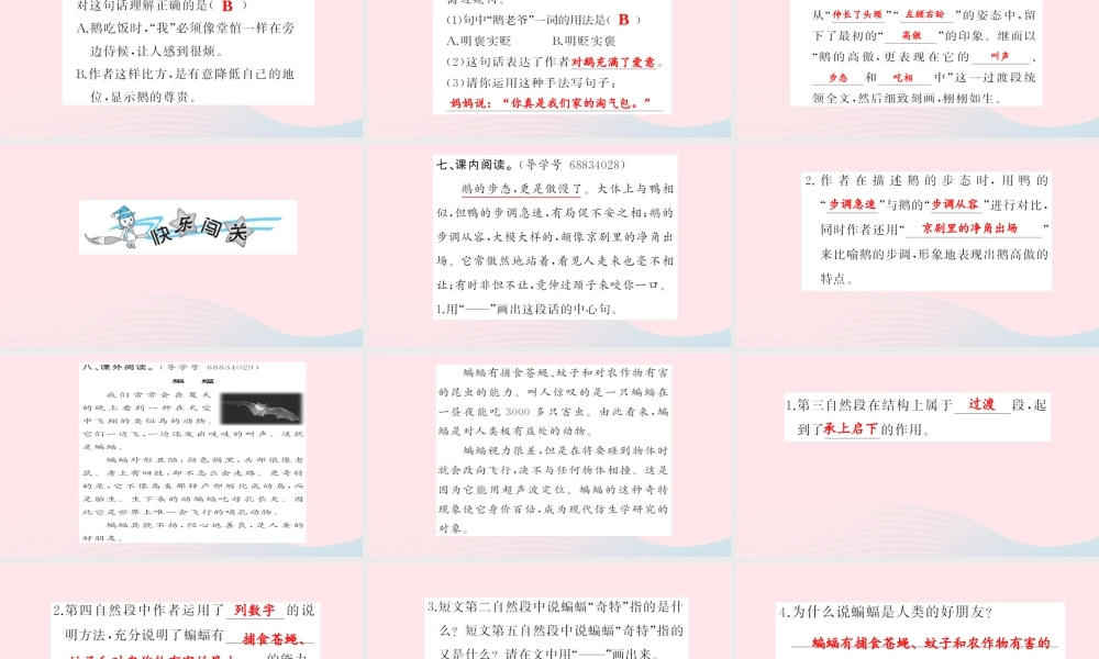 四年级语文上册 第四组 13 白鹅习题课件 新人教版-新人教版小学四年级上册语文课件