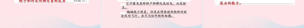 四年级语文上册 第四组 13 白鹅习题课件 新人教版-新人教版小学四年级上册语文课件