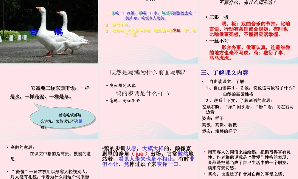 四年级语文上册 第四组 13《白鹅》课堂教学课件1 新人教版-新人教版小学四年级上册语文课件