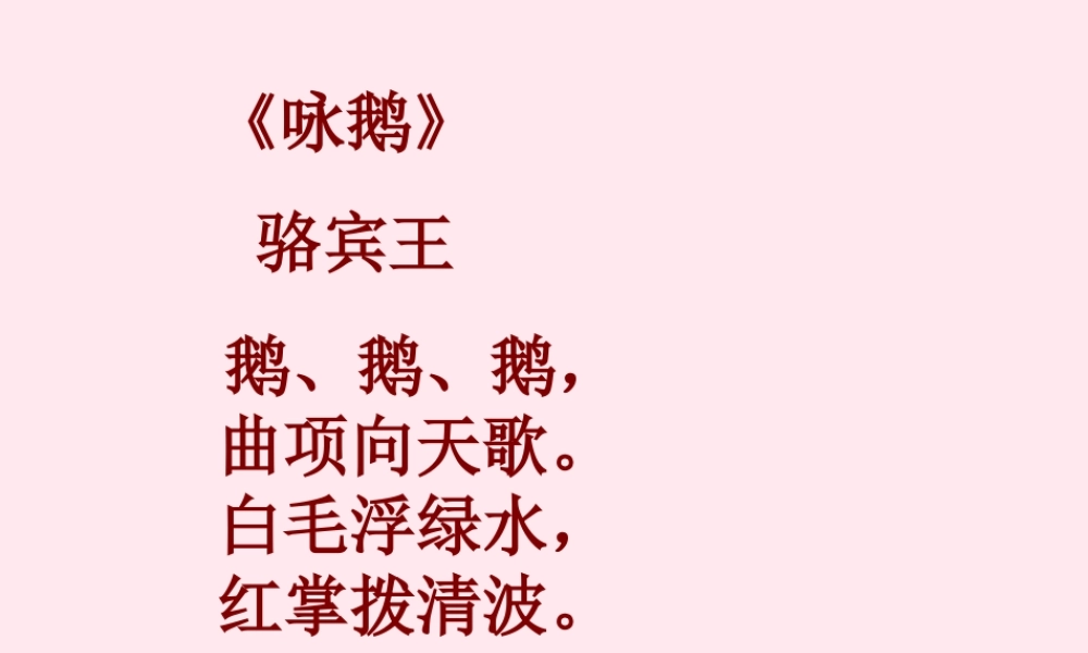 四年级语文上册 第四组 13《白鹅》课堂教学课件2 新人教版-新人教版小学四年级上册语文课件