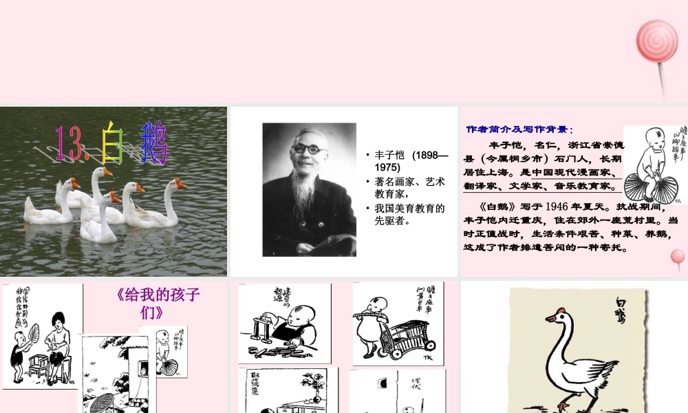 四年级语文上册 第四组 13《白鹅》课堂教学课件2 新人教版-新人教版小学四年级上册语文课件