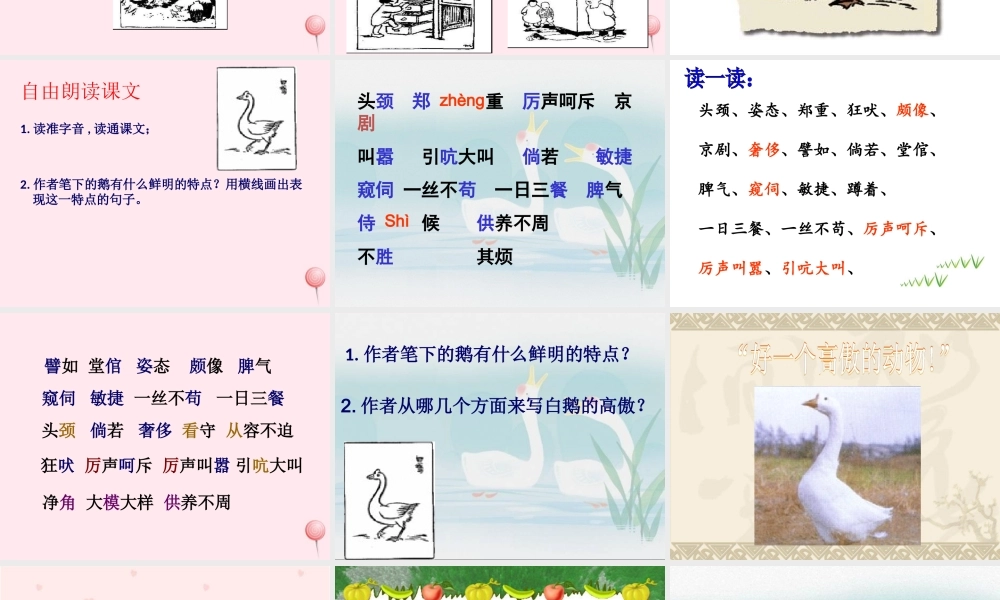 四年级语文上册 第四组 13《白鹅》课堂教学课件2 新人教版-新人教版小学四年级上册语文课件