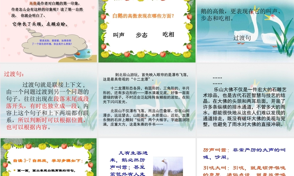 四年级语文上册 第四组 13《白鹅》课堂教学课件2 新人教版-新人教版小学四年级上册语文课件