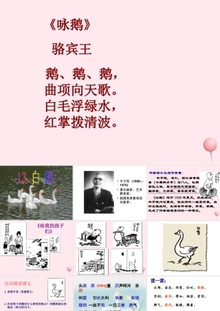 四年级语文上册 第四组 13《白鹅》课堂教学课件2 新人教版-新人教版小学四年级上册语文课件