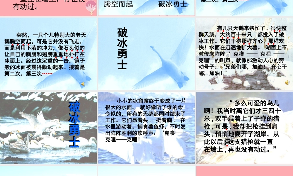 四年级语文上册 第七单元 天鹅的故事课件1 西师大版-西师大版小学四年级上册语文课件