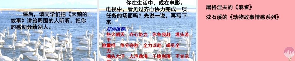 四年级语文上册 第七单元 天鹅的故事课件1 西师大版-西师大版小学四年级上册语文课件
