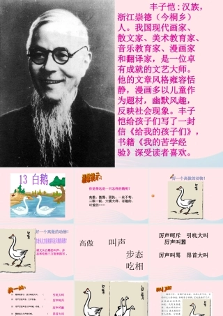 四年级语文上册 第四组 13《白鹅》课堂教学课件3 新人教版-新人教版小学四年级上册语文课件