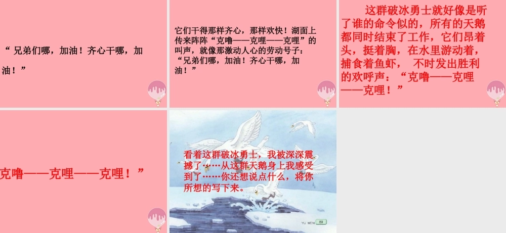 四年级语文上册 第七单元 天鹅的故事课件2 西师大版-西师大版小学四年级上册语文课件