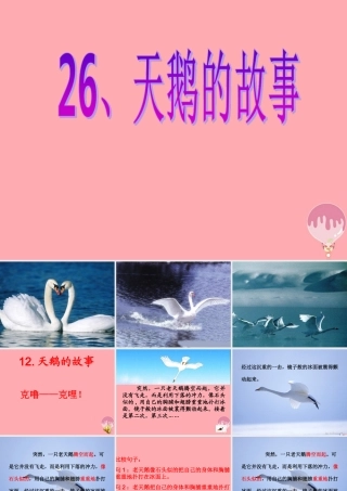 四年级语文上册 第七单元 天鹅的故事课件2 西师大版-西师大版小学四年级上册语文课件