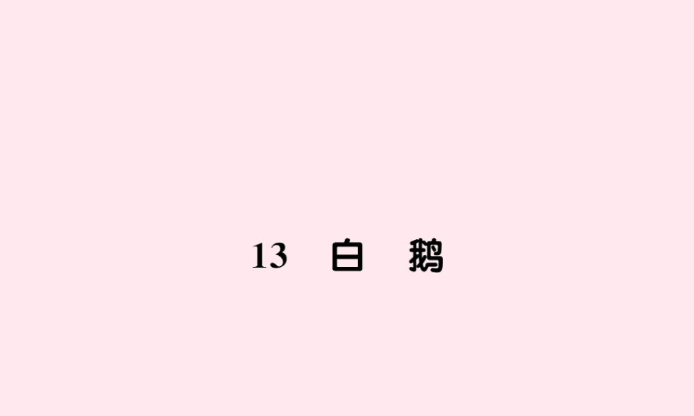 四年级语文上册 第四组 13白鹅习题课件 新人教版-新人教版小学四年级上册语文课件