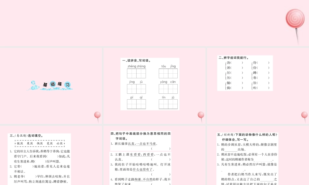 四年级语文上册 第四组 13白鹅习题课件 新人教版-新人教版小学四年级上册语文课件