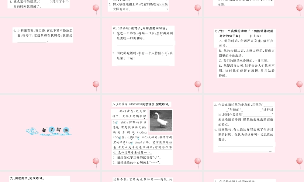 四年级语文上册 第四组 13白鹅习题课件 新人教版-新人教版小学四年级上册语文课件