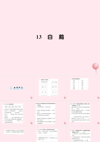 四年级语文上册 第四组 13白鹅习题课件 新人教版-新人教版小学四年级上册语文课件