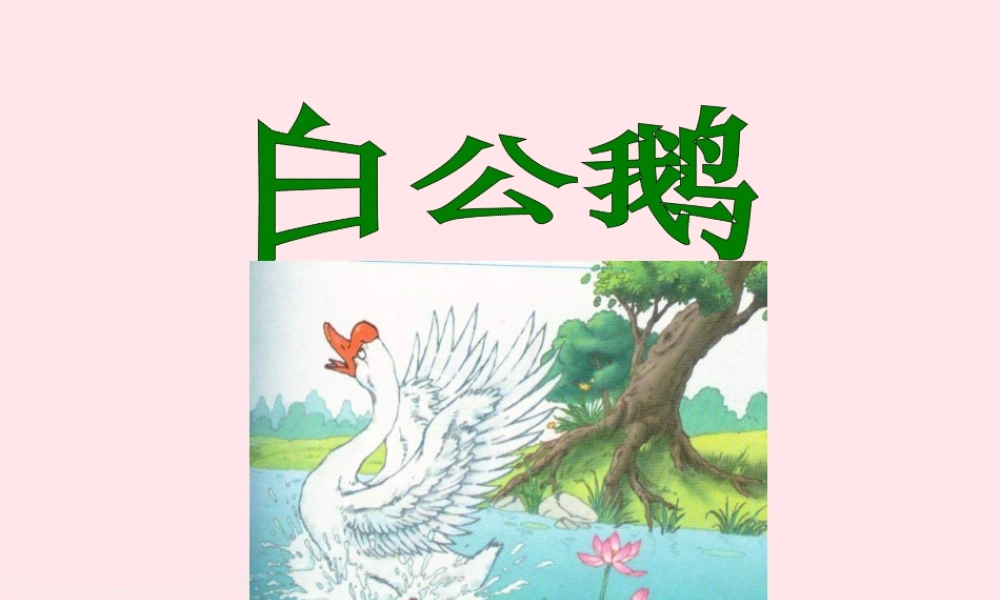 四年级语文上册 第四组 14 白公鹅课件 新人教版-新人教版小学四年级上册语文课件