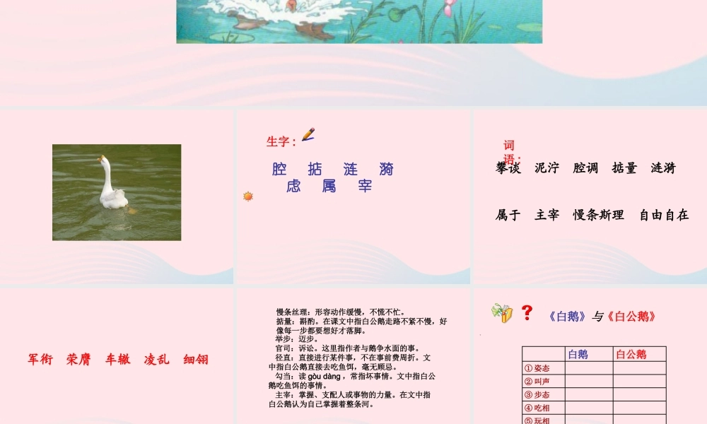 四年级语文上册 第四组 14 白公鹅课件 新人教版-新人教版小学四年级上册语文课件