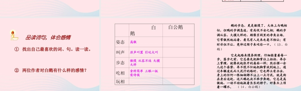 四年级语文上册 第四组 14 白公鹅课件 新人教版-新人教版小学四年级上册语文课件