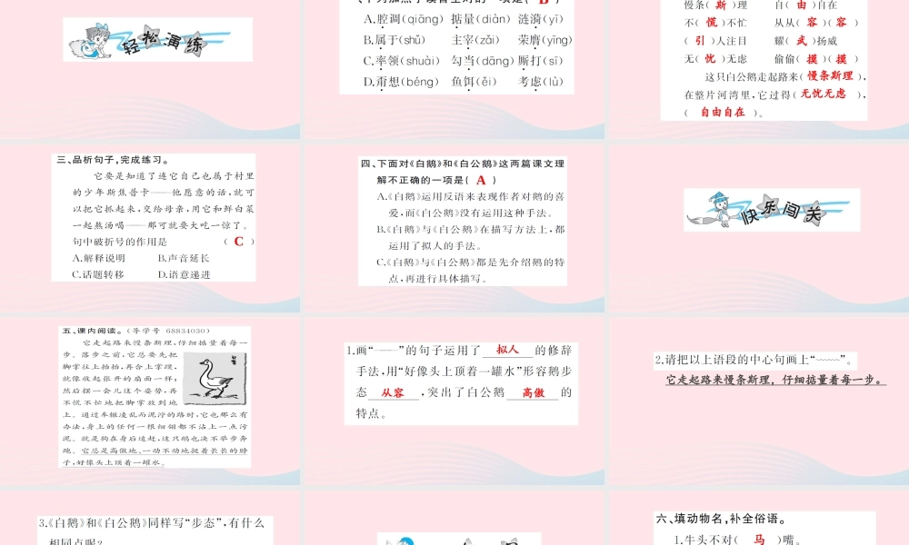 四年级语文上册 第四组 14 白公鹅习题课件 新人教版-新人教版小学四年级上册语文课件