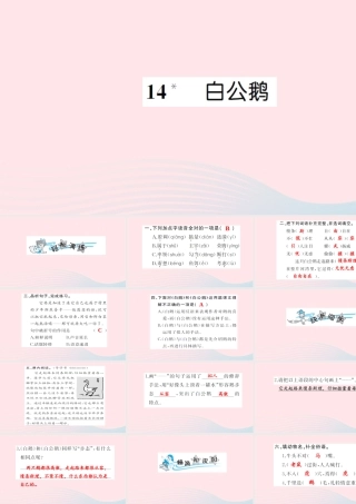 四年级语文上册 第四组 14 白公鹅习题课件 新人教版-新人教版小学四年级上册语文课件