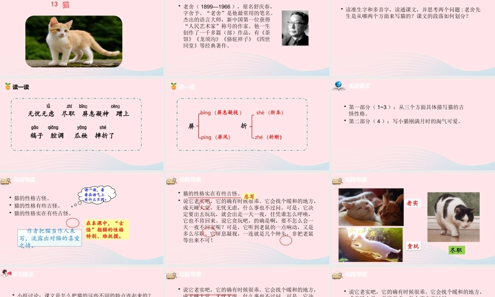 四年级语文下册 第4单元 13猫课件 新人教版-新人教版小学四年级下册语文课件