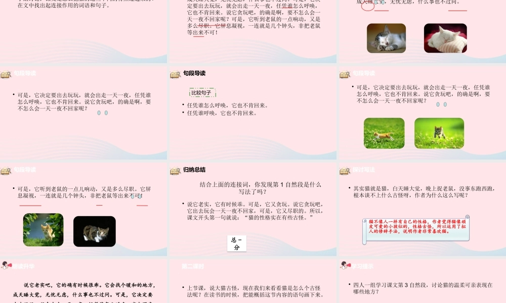 四年级语文下册 第4单元 13猫课件 新人教版-新人教版小学四年级下册语文课件