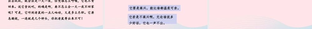 四年级语文下册 第4单元 13猫课件 新人教版-新人教版小学四年级下册语文课件