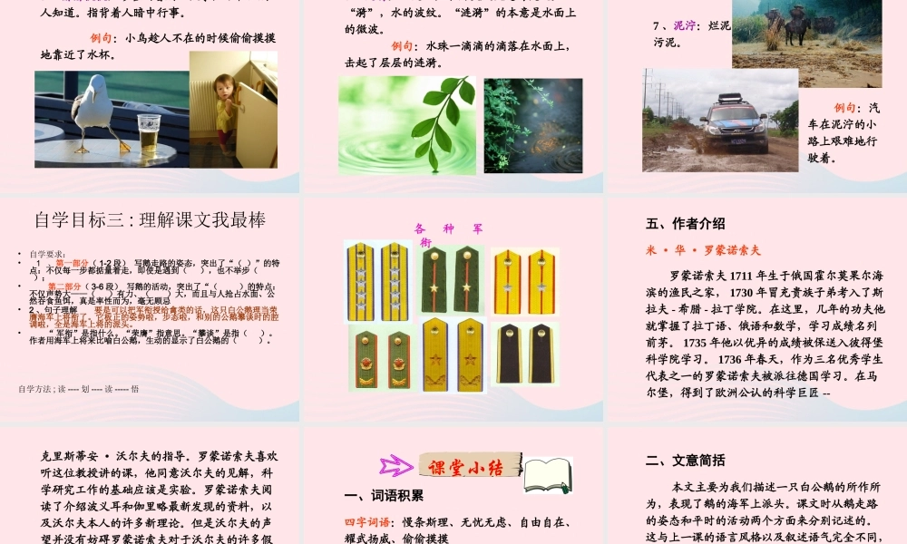 四年级语文上册 第四组 14《白公鹅》课堂教学课件1 新人教版-新人教版小学四年级上册语文课件