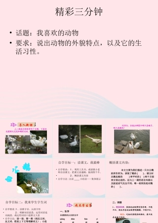 四年级语文上册 第四组 14《白公鹅》课堂教学课件1 新人教版-新人教版小学四年级上册语文课件