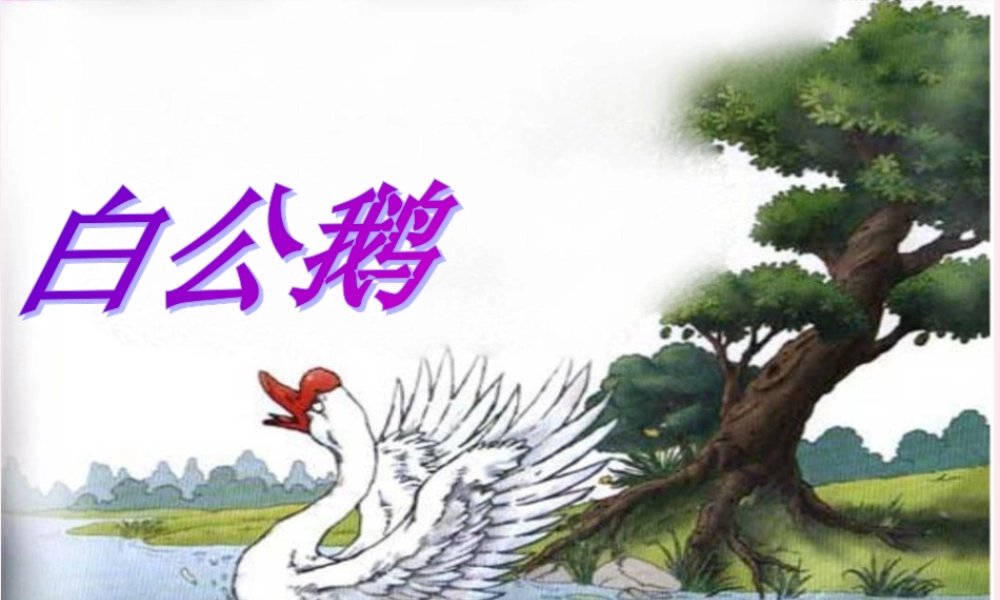 四年级语文上册 第四组 14《白公鹅》课堂教学课件2 新人教版-新人教版小学四年级上册语文课件