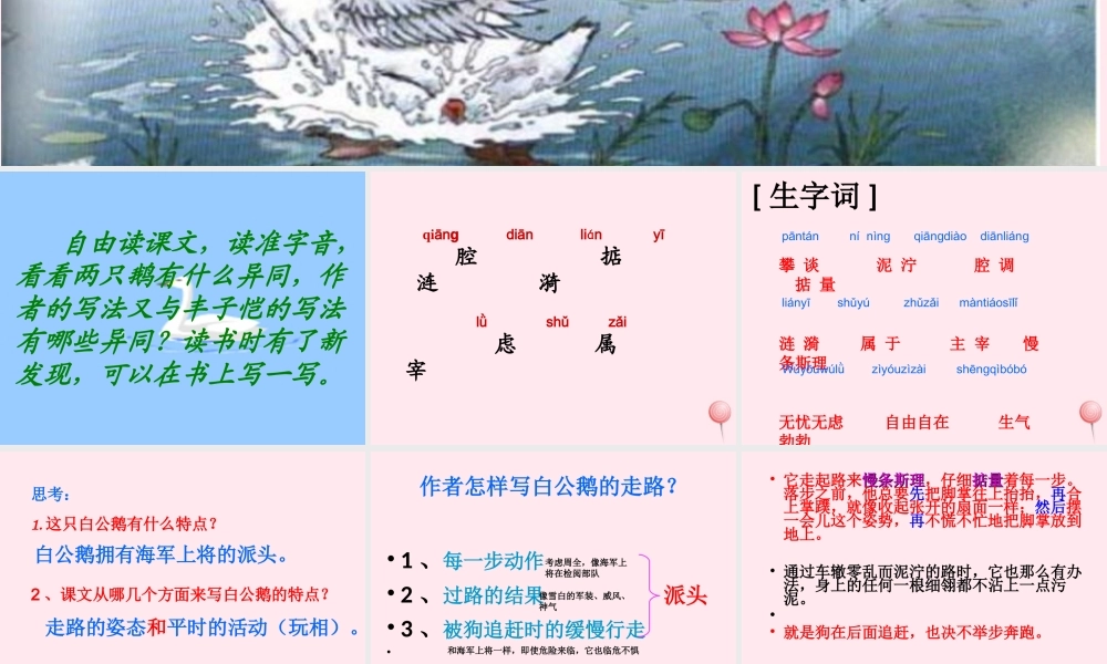 四年级语文上册 第四组 14《白公鹅》课堂教学课件2 新人教版-新人教版小学四年级上册语文课件