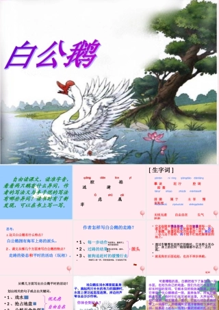 四年级语文上册 第四组 14《白公鹅》课堂教学课件2 新人教版-新人教版小学四年级上册语文课件