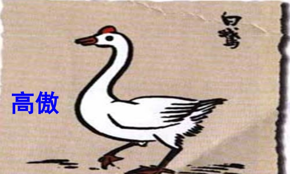 四年级语文上册 第四组 14《白公鹅》课堂教学课件3 新人教版-新人教版小学四年级上册语文课件