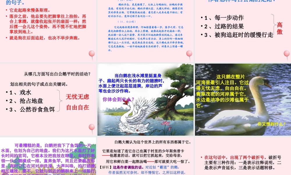 四年级语文上册 第四组 14《白公鹅》课堂教学课件3 新人教版-新人教版小学四年级上册语文课件