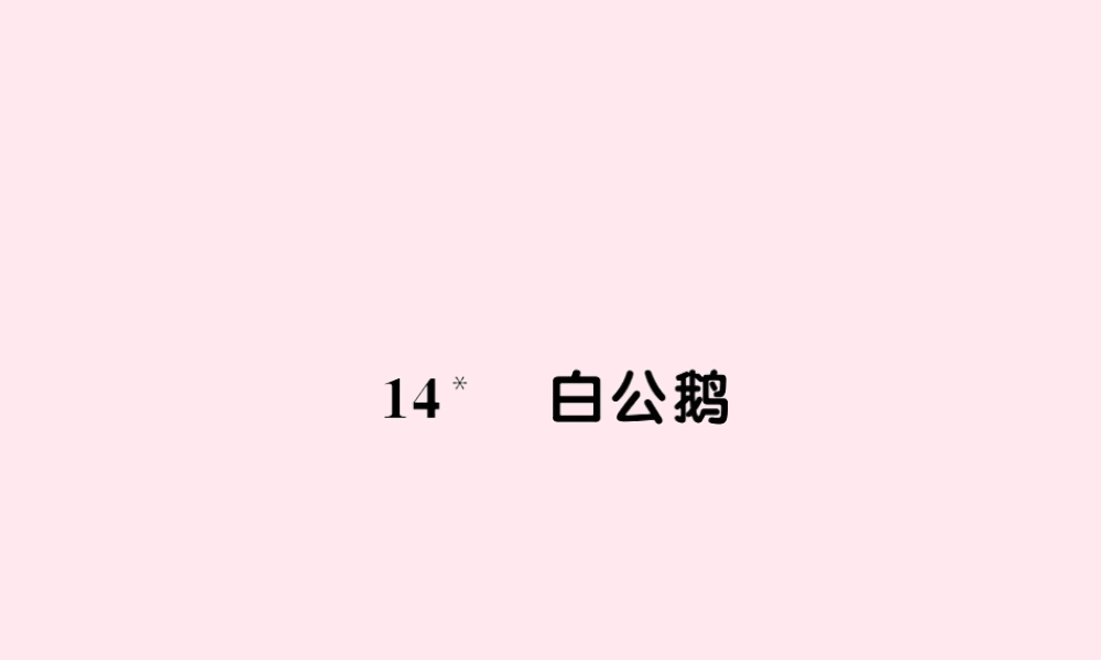 四年级语文上册 第四组 14白公鹅习题课件 新人教版-新人教版小学四年级上册语文课件
