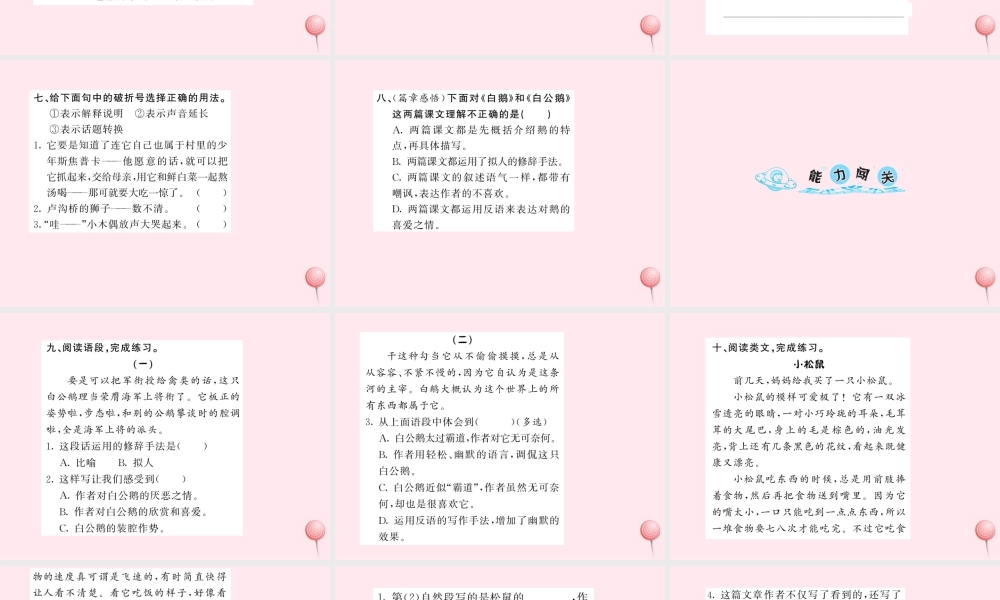四年级语文上册 第四组 14白公鹅习题课件 新人教版-新人教版小学四年级上册语文课件