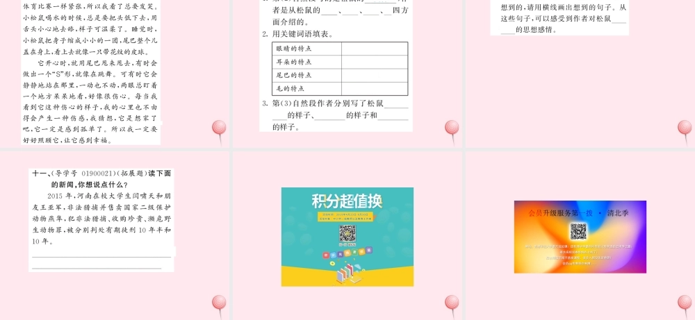 四年级语文上册 第四组 14白公鹅习题课件 新人教版-新人教版小学四年级上册语文课件