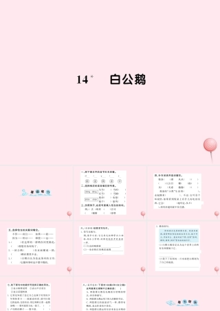 四年级语文上册 第四组 14白公鹅习题课件 新人教版-新人教版小学四年级上册语文课件