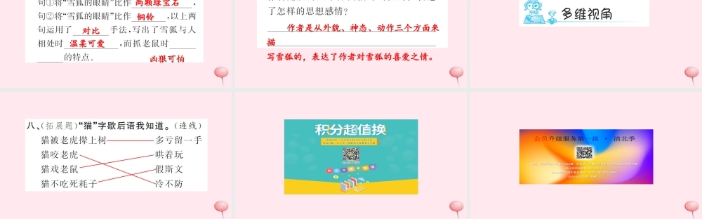 四年级语文上册 第四组 15 猫（第2课时）习题课件 新人教版-新人教版小学四年级上册语文课件