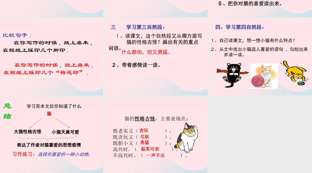 四年级语文上册 第四组 15 猫课件 新人教版-新人教版小学四年级上册语文课件