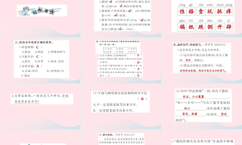 四年级语文上册 第四组 15 猫习题课件 新人教版-新人教版小学四年级上册语文课件