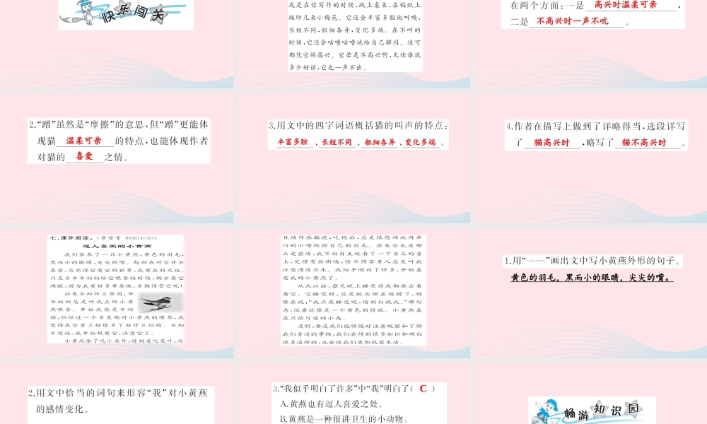 四年级语文上册 第四组 15 猫习题课件 新人教版-新人教版小学四年级上册语文课件