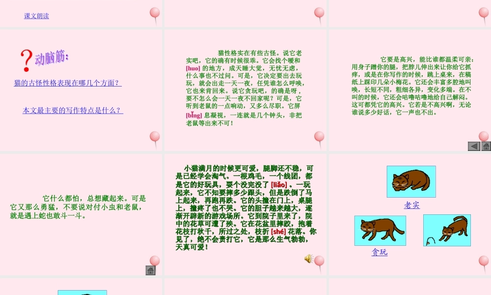 四年级语文上册 第四组 15《猫》课堂教学课件1 新人教版-新人教版小学四年级上册语文课件