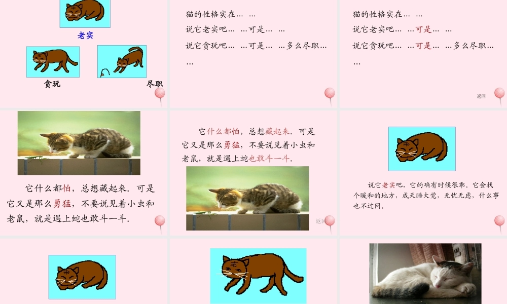 四年级语文上册 第四组 15《猫》课堂教学课件1 新人教版-新人教版小学四年级上册语文课件